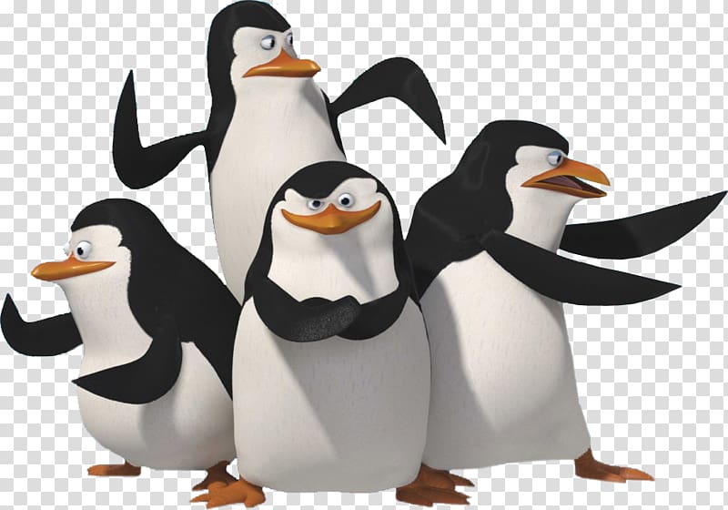 Madagascar penguins transparent background PNG clipart