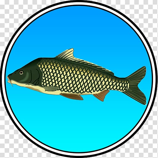 True Fishing (key) Pro Pilkki 2, Ice Fishing Game Skate Madness (3D Racing Game) Ultimate Fishing Simulator, Fishing transparent background PNG clipart