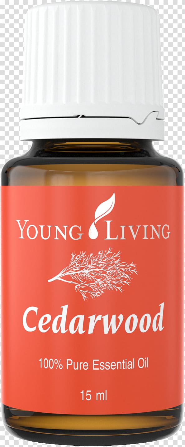 Young Living Cedar oil Essential oil, oil transparent background PNG clipart