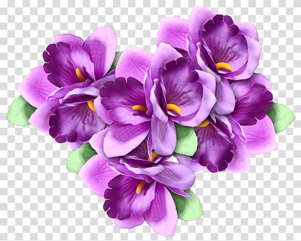 GIMP Rose Adobe Animate Cut flowers, others transparent background PNG clipart