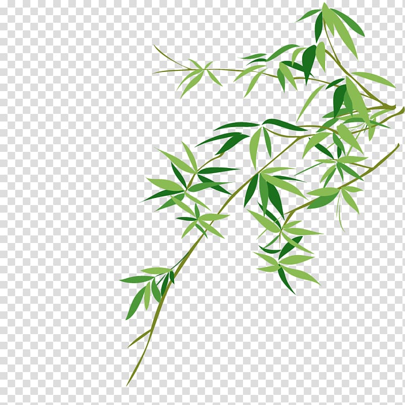 Bambusodae Chinese painting Bamboo painting, bamboo, green leafed plant transparent background PNG clipart