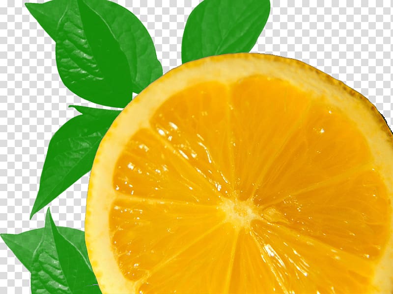 Clementine Lemon Mandarin orange, Creative lemon slice transparent background PNG clipart