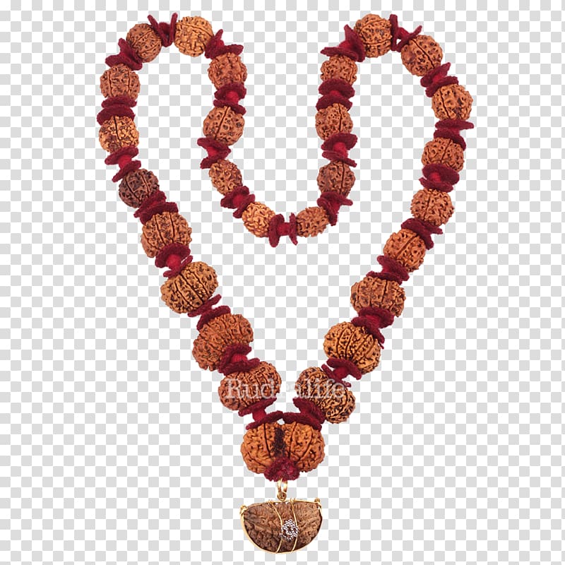 Buddhist prayer beads Rudraksha Mahadeva Rudralife Japamala, Rudraksha transparent background PNG clipart