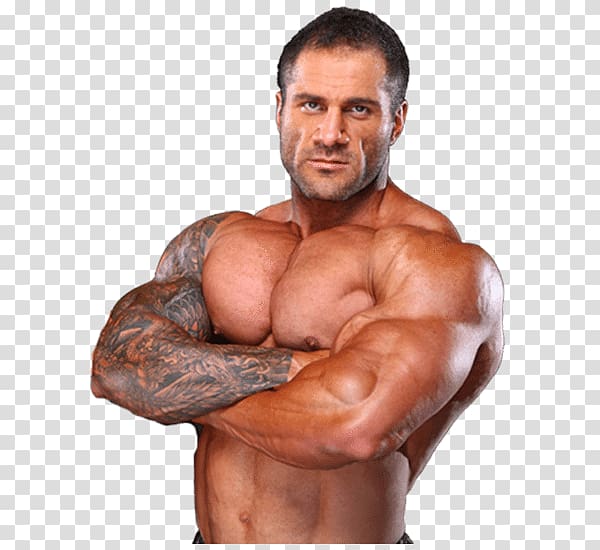 Bodybuilding transparent background PNG clipart