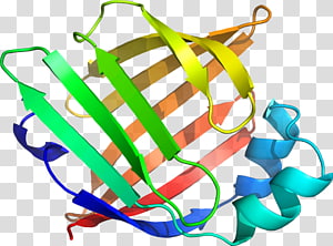 Line , design transparent background PNG clipart thumbnail