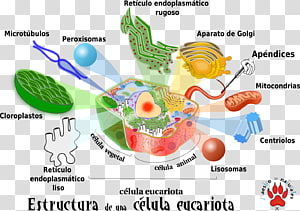 Organism , design transparent background PNG clipart thumbnail
