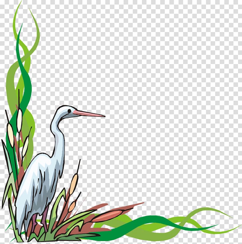 Heron Stork , stork transparent background PNG clipart
