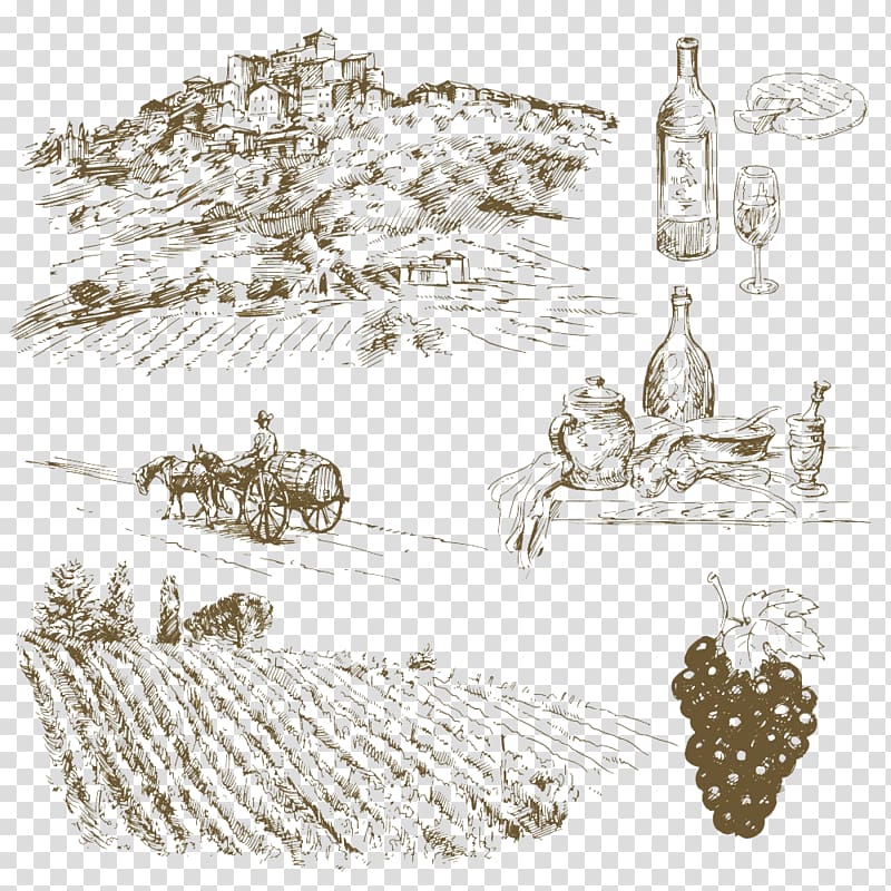 Wine Common Grape Vine Italian cuisine Drawing, Village Field transparent background PNG clipart