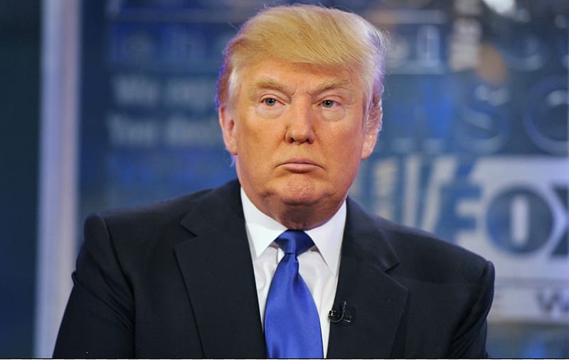 Donald Trump United States Celebrity Republican Party Actor, donald trump transparent background PNG clipart
