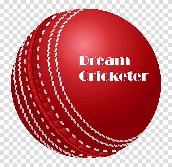 Cricket Balls Delhi Daredevils Batting, cricket tournament transparent background PNG clipart