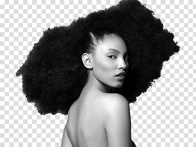 Afro-textured hair Hairstyle Natural hair movement, hair transparent background PNG clipart