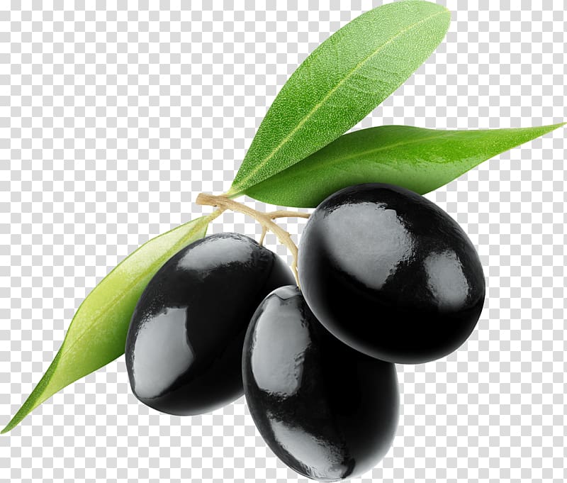 black palm fruits illustration, Black Olives Trio transparent background PNG clipart