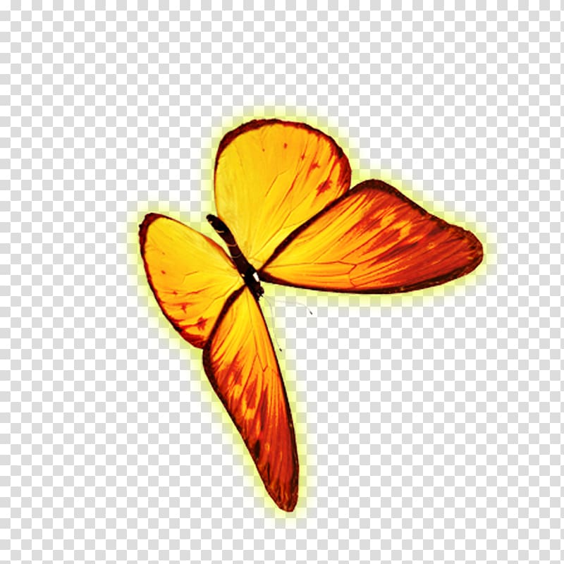 Monarch butterfly Icon, Golden Butterfly transparent background PNG clipart