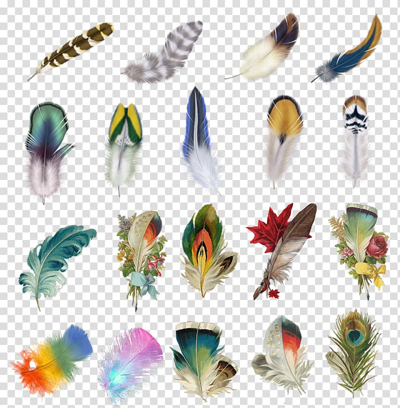 assorted-type feather illustration, Feather Bird Euclidean Icon, psd feathers transparent background PNG clipart