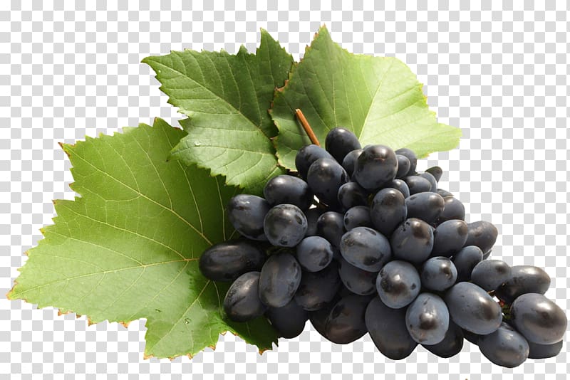 Zante currant Common Grape Vine Blackcurrant, grape transparent background PNG clipart