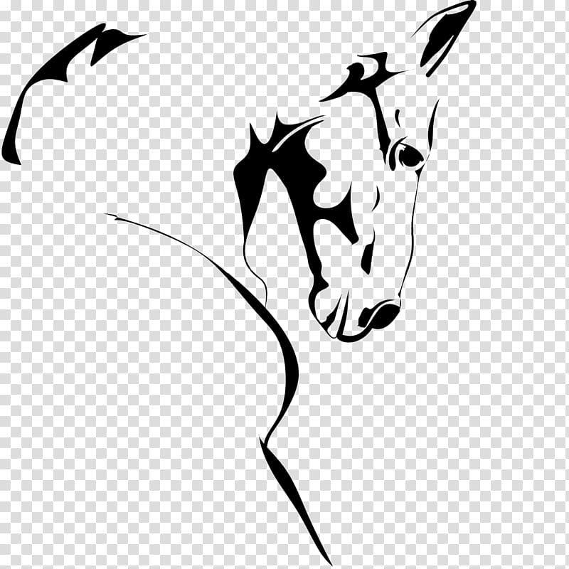 Whiskers Mustang Equine dentistry Stallion , horse head transparent background PNG clipart