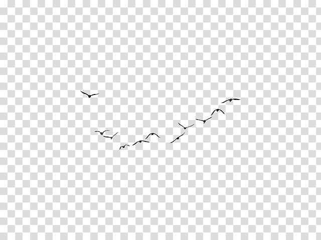 Bird migration White Point, tree with bird transparent background PNG clipart