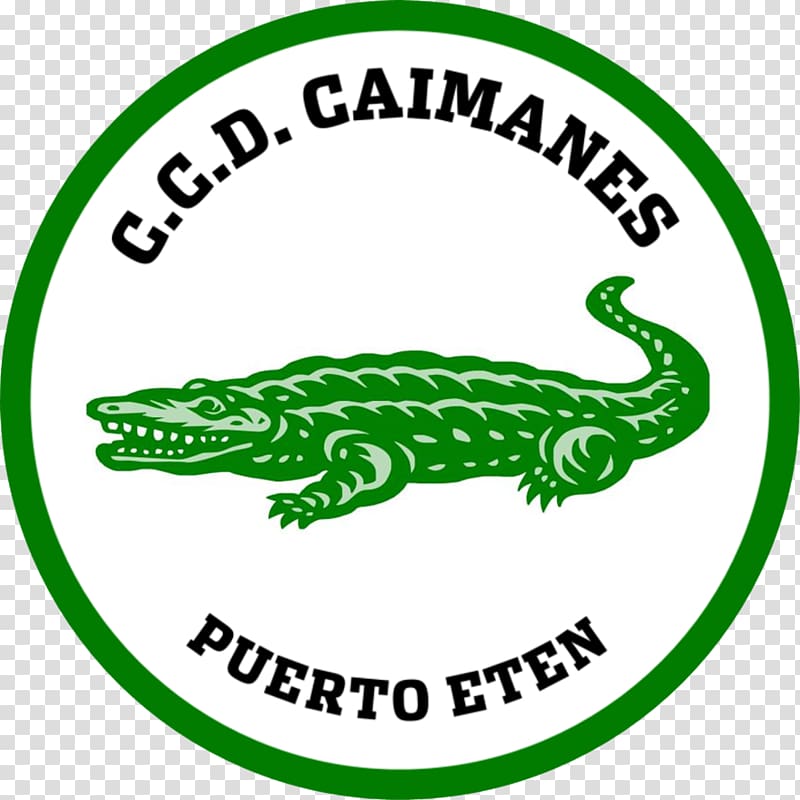 Los Caimanes Chiclayo Sport Loreto Unión Huaral Segunda División, caiman transparent background PNG clipart