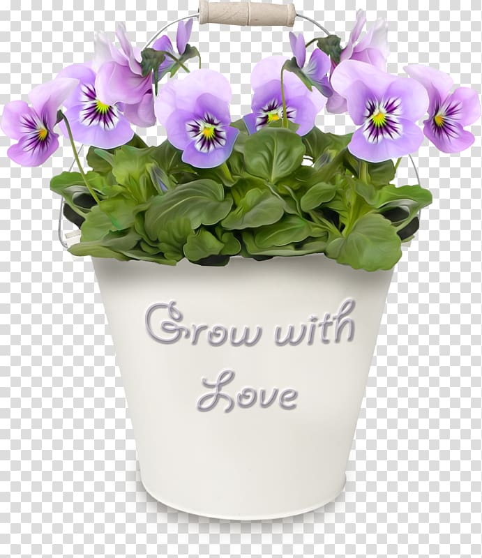 Pansy Flowerpot , flower transparent background PNG clipart