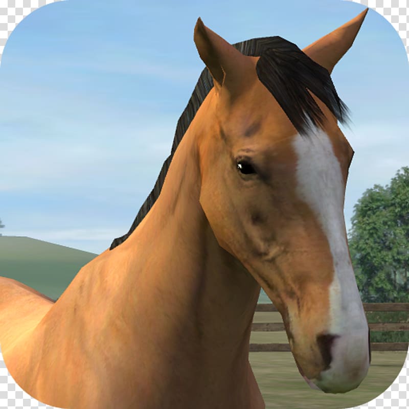 My Horse Clumsy Ninja My Fan Horse Farm, horse racing transparent background PNG clipart