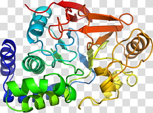 Organism , design transparent background PNG clipart thumbnail
