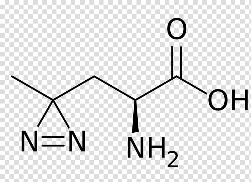 Phenylalanine Glutamic acid Nitrotyrosine Leucine, others transparent background PNG clipart