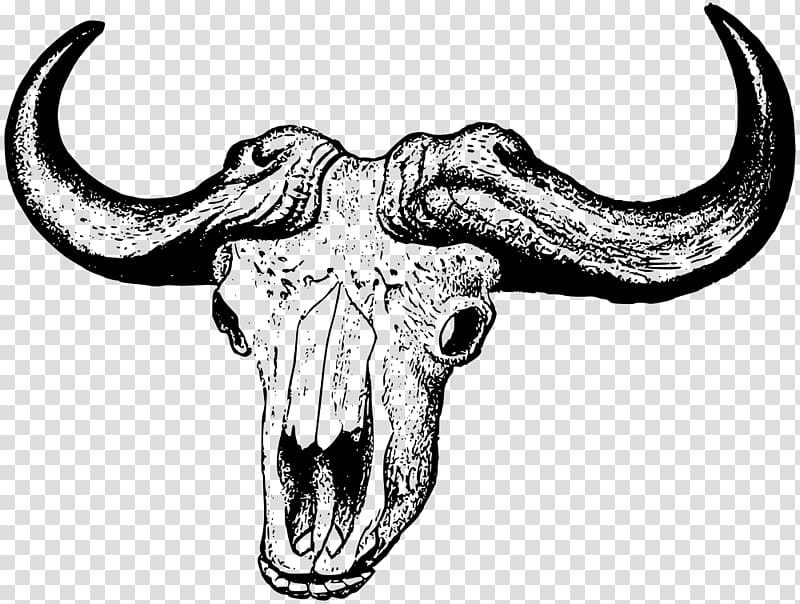 African buffalo Skull Cattle American bison , skull transparent background PNG clipart