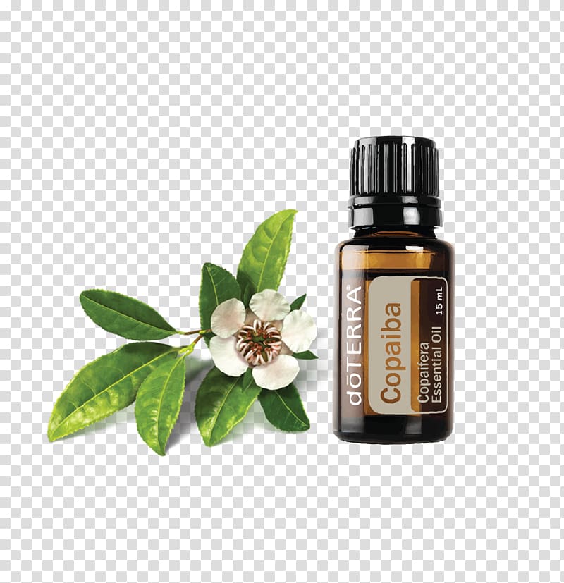 Essential oil doTERRA Serenity Restful Complex Softgels Copaiba, oil transparent background PNG clipart