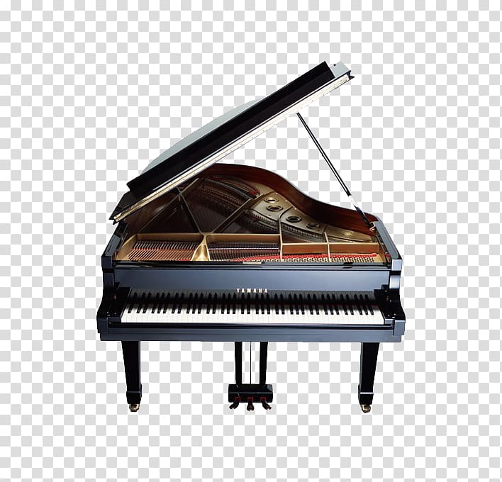 Korg Kronos u5168u65e5u672cu30d4u30a2u30ceu6307u5c0eu8005u5354u4f1a Piano Musical instrument, Gray and black piano transparent background PNG clipart
