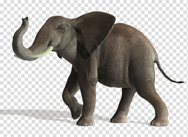Asian elephant Lion Art, Elephant File transparent background PNG clipart