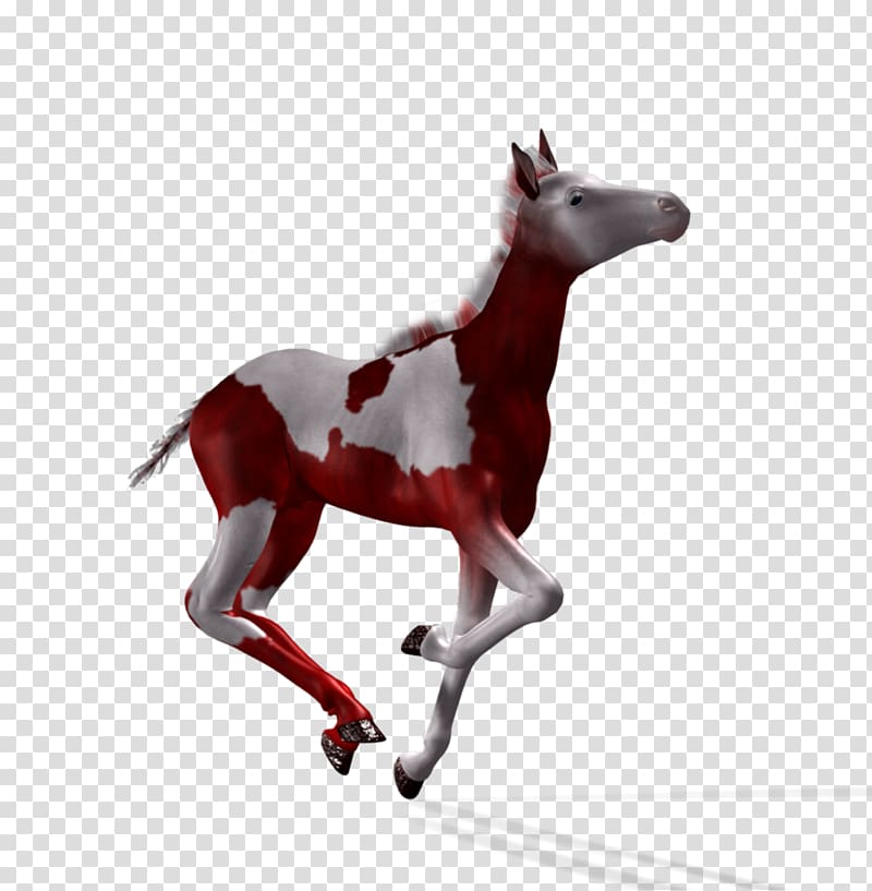 Mustang Foal Stallion Colt Pony, fantasy night background transparent background PNG clipart