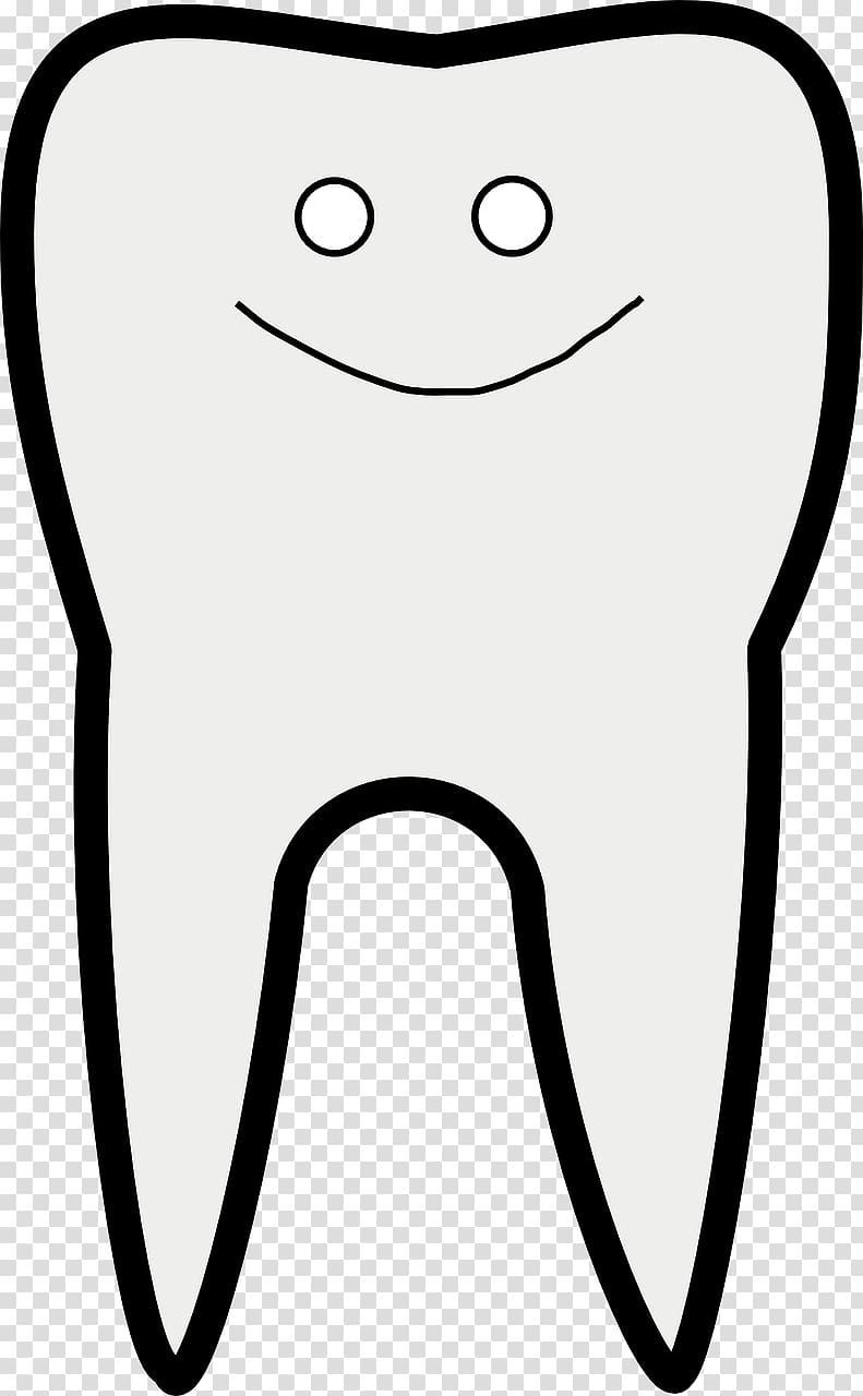 Human tooth Dentistry , teeth transparent background PNG clipart