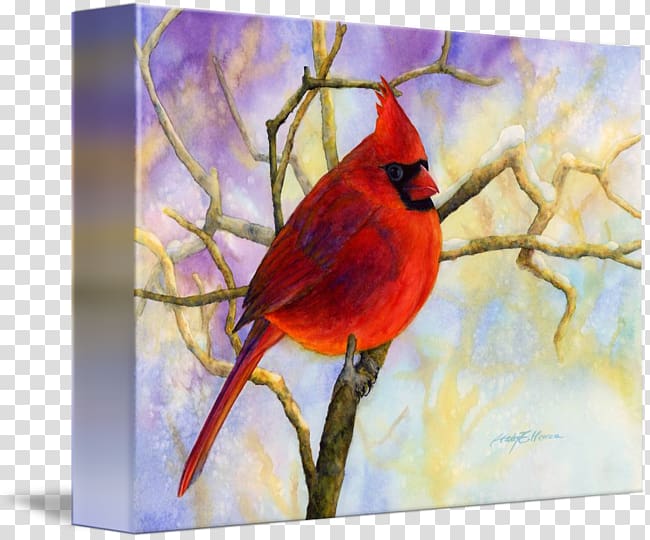 Watercolor painting Acrylic paint Acrylic resin, Northern Cardinal transparent background PNG clipart