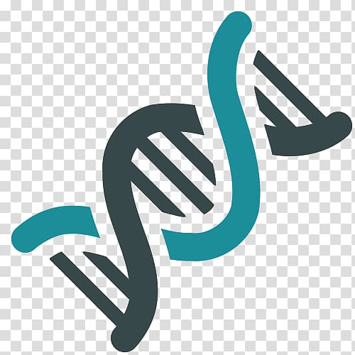 Genetics DNA Nucleic acid double helix Genetic engineering Computer Icons, transparent background PNG clipart