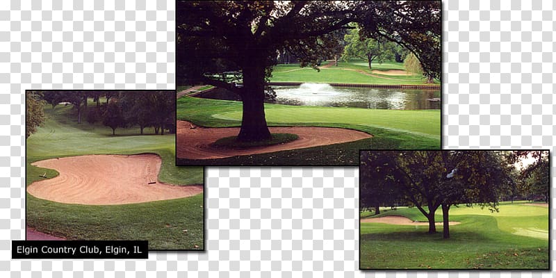 Lawn Tree Golf course, country landscape transparent background PNG clipart