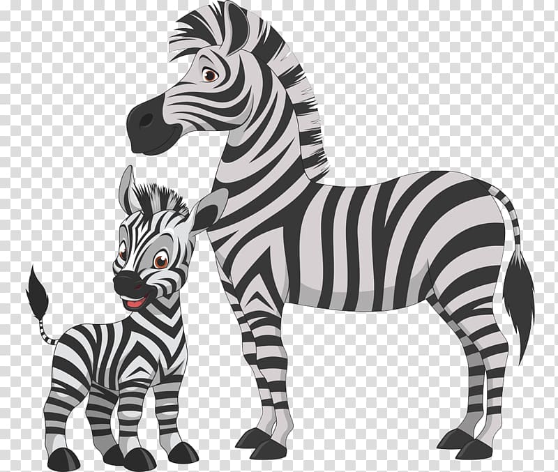 Foal Zebra Horse , Small zebra zebra transparent background PNG clipart