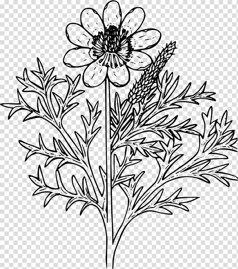 Floral design Wildflower , pheasant transparent background PNG clipart
