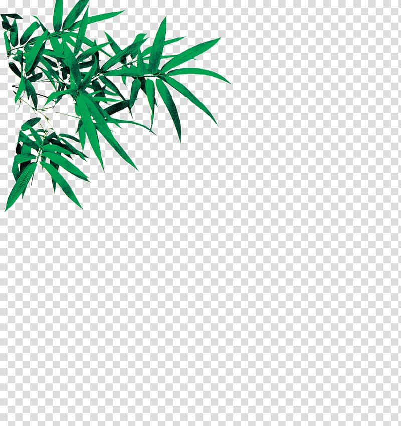 Bamboo Leaf Euclidean , Green bamboo leaves transparent background PNG clipart