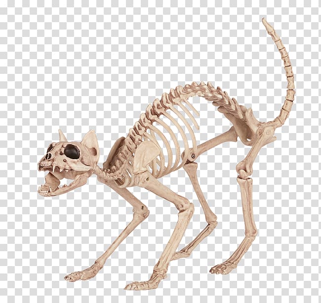 Cat Litter Trays Skeleton Bone Tail, bones transparent background PNG clipart