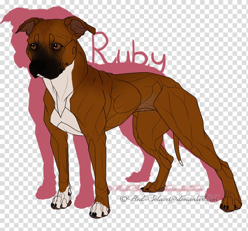 Dog breed Boxer Snout Crossbreed, Staffordshire Bull Terrier transparent background PNG clipart
