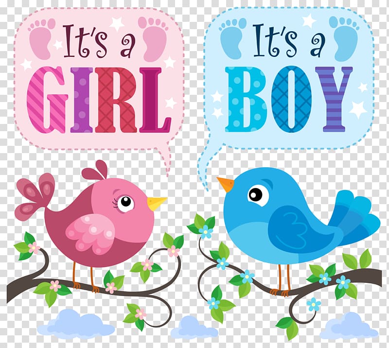 Cute bird with baby card transparent background PNG clipart