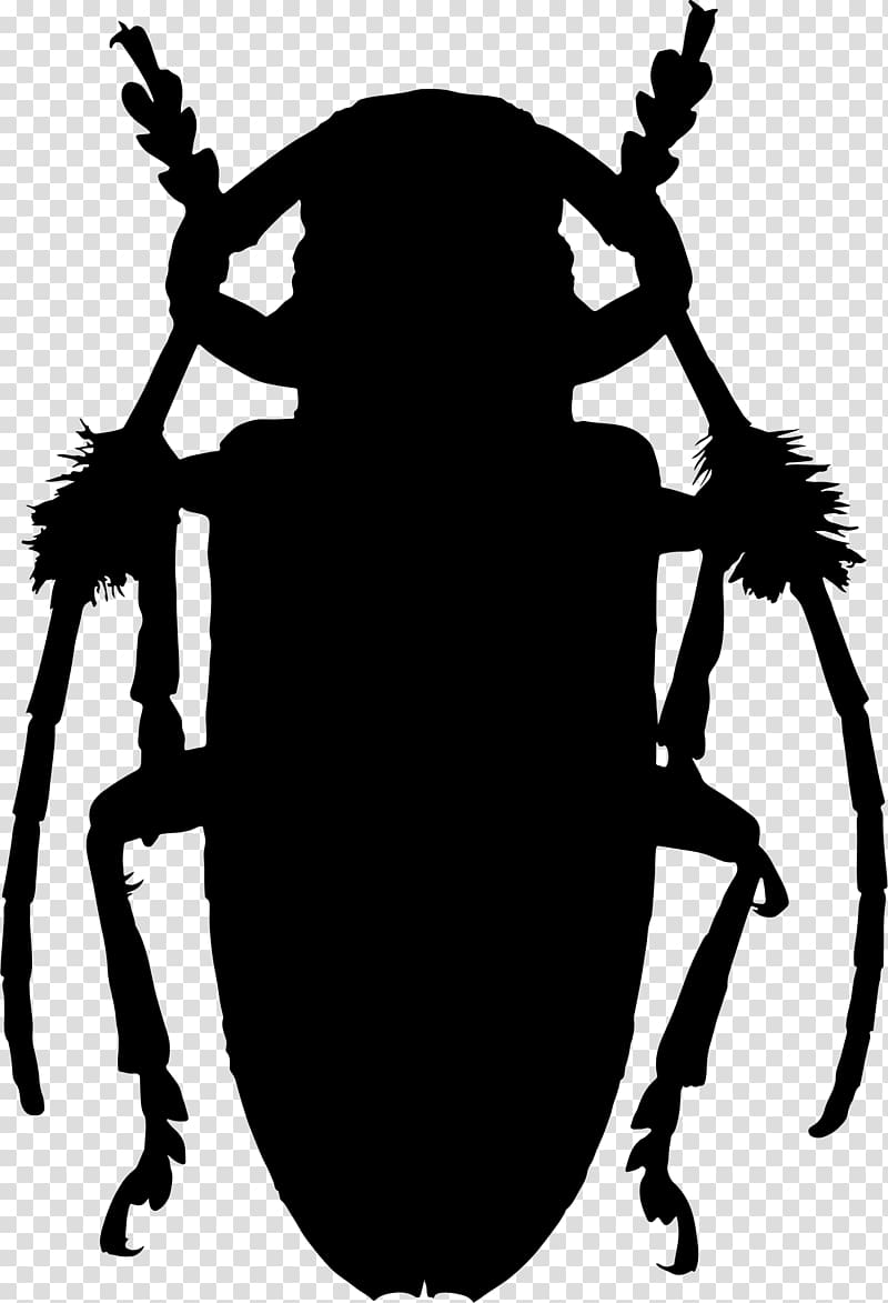 Beetle T-shirt Scarab Ladybird Lamiinae, beetle transparent background PNG clipart