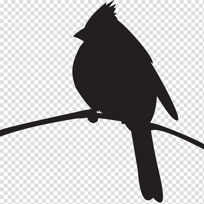 Cornell Lab of Ornithology Bird Northern cardinal Pyrrhuloxia Silhouette, bird transparent background PNG clipart