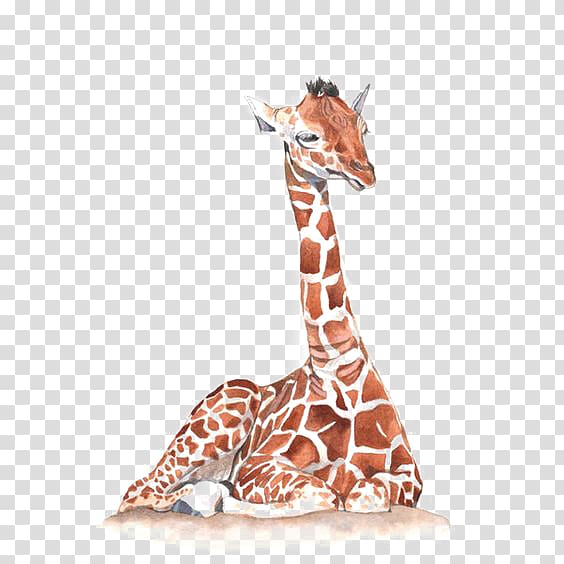 Giraffe Watercolor painting Illustration, Hand-painted giraffe transparent background PNG clipart