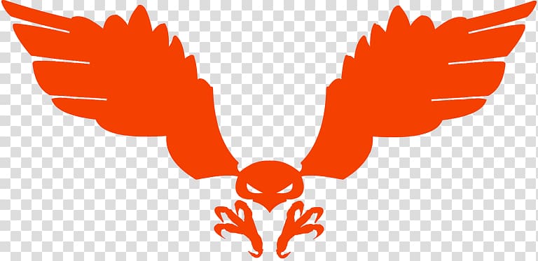 Symbol Red-tailed hawk Logo , symbol transparent background PNG clipart