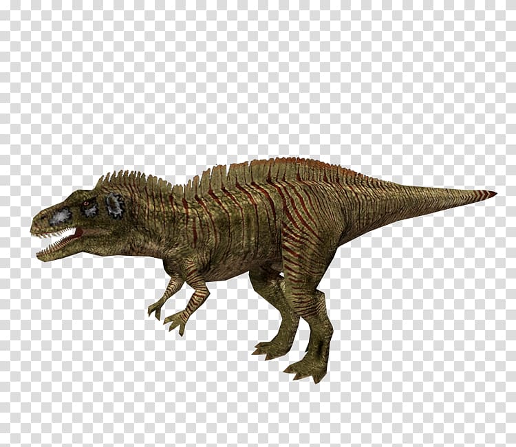 Tyrannosaurus Iguanodon Europasaurus Velociraptor Carcharodontosaurus, dinosaur transparent background PNG clipart