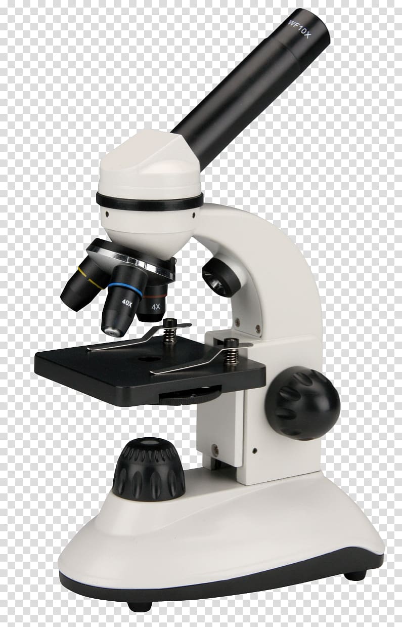 Stereo microscope Frederiksen Scientific A / S Science Optical microscope, microscope transparent background PNG clipart