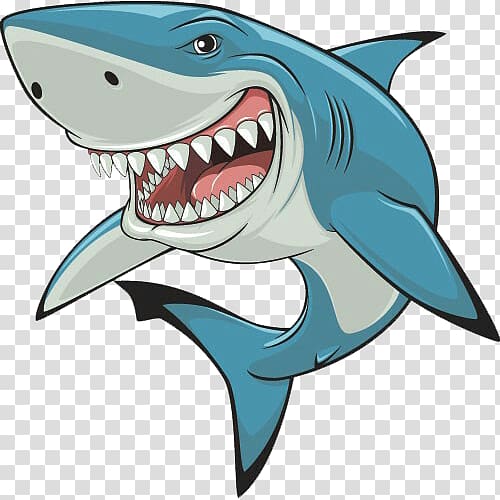 Shark graphics , shark transparent background PNG clipart