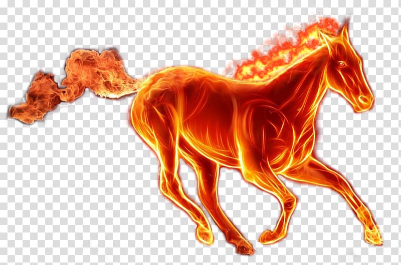 Mustang Stallion Clydesdale horse Friesian horse Pony, flame transparent background PNG clipart