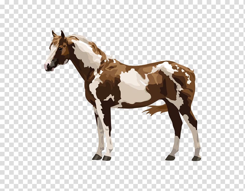 Mustang Arabian horse Mule Foal Stallion, the horse exempts transparent background PNG clipart